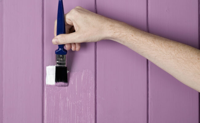 Proud Paints interior wall decorating violet paint colour with paint brush