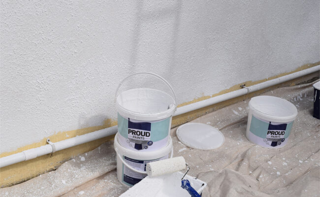 Proud Paints expert help and advice how to apply textured high build paint advice and steps to painting your homes interior and exterior choosing paint colours from Proud Paints confident colour collection will bring your homes masonry walls to life