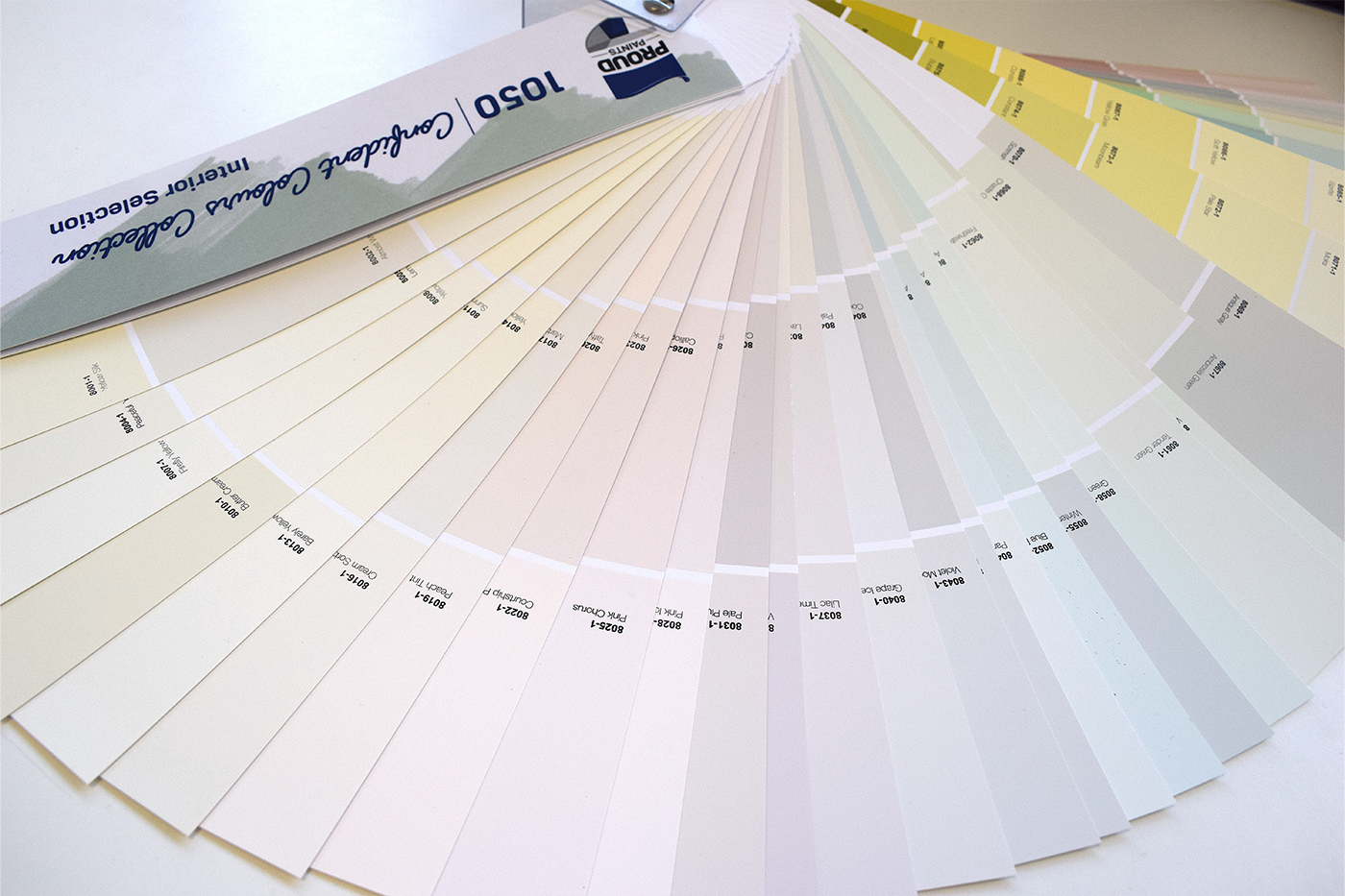 Proud Paints expert help and advice choosing the perfect paint colours for your homes interior and exterior painting choosing paint colours from Proud Paints confident colour collection bringing your home to life.