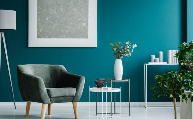 Proud-Paints-Interior-Matt-Plus+-interior-design-decorating-your-home-with-a-durable-scrubbable-interior-matt-finish-paint-choose-from-the-full-colour-palette-in-proud-paints-confident-colour-collection-with-extraordinary-depth-of-colour
