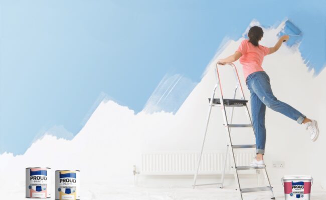 Proud Paints interior wall decorating of home confident interior decorating with Proud Paints confident blue colour collection paint colours.