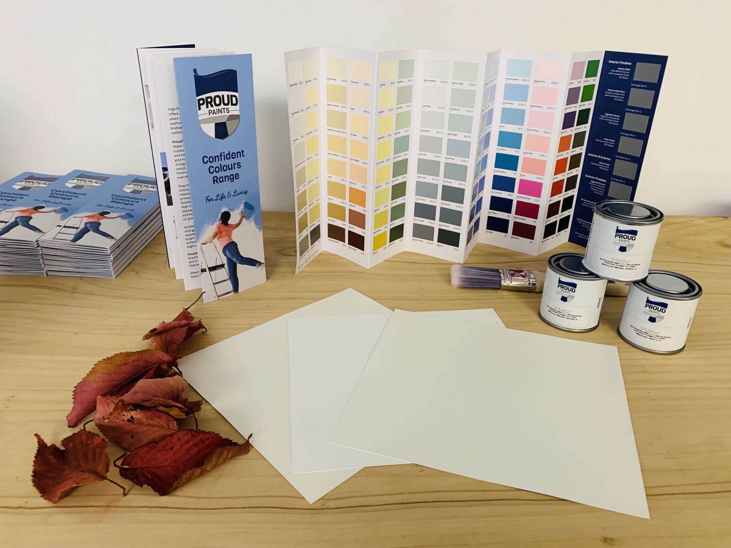 Paint colour tester pots and colour cards.